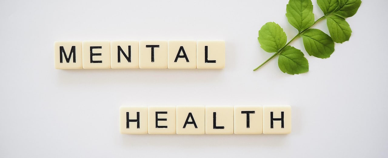 Brain with labels on it