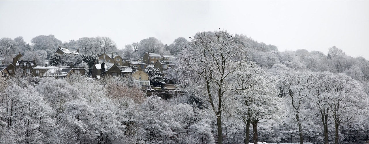 Winter Landscape