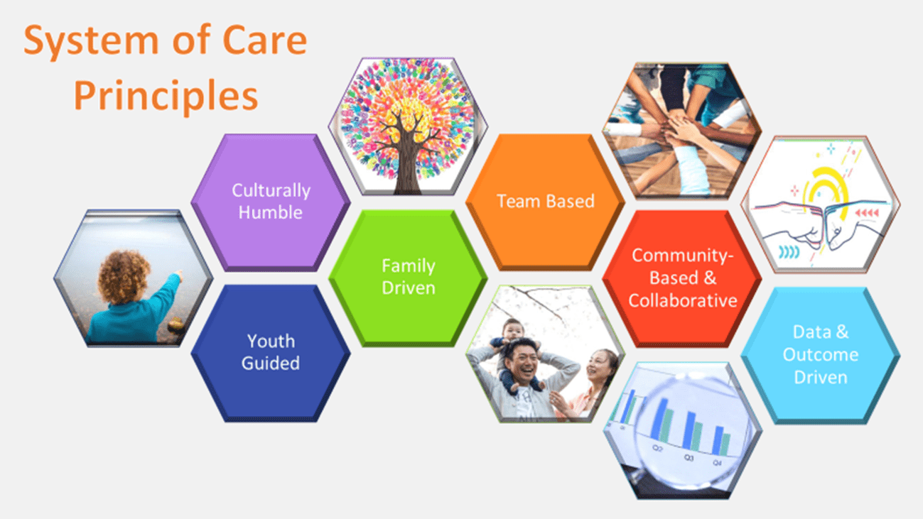 scheme of system of care